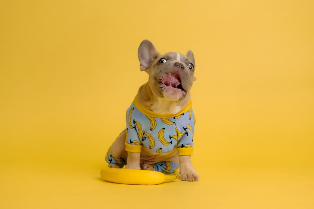 http://www.kcrea.cc/skin/default/image/zoomin.gif